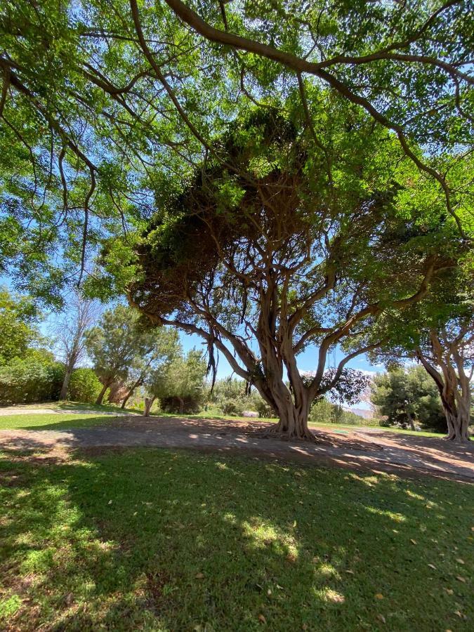 Apt Con Espectacular Vista, Piscinas, Recep 24 Hs Benalmádena Εξωτερικό φωτογραφία